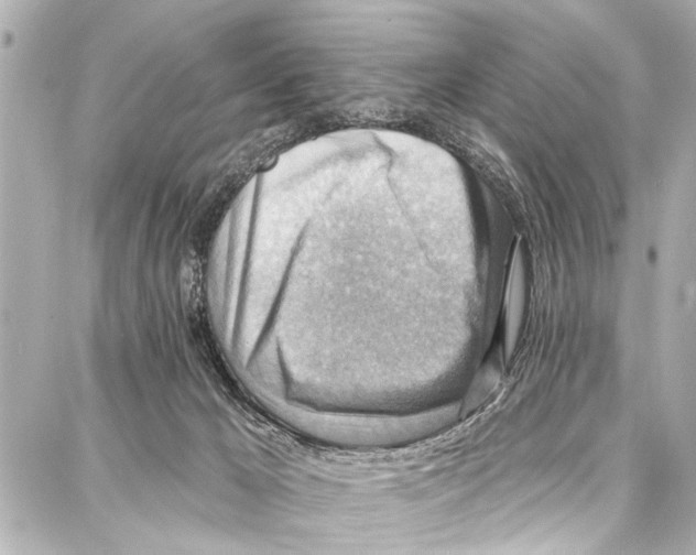 X0000086880029200705141421