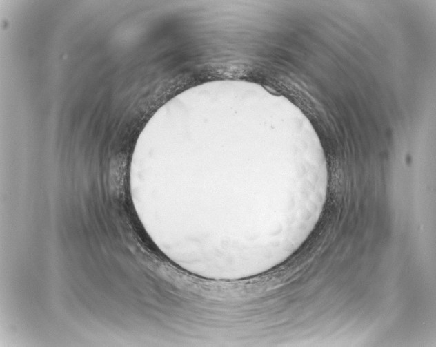 X0000086880030200705141421