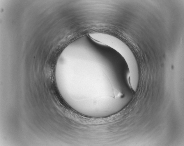 X0000086880031200705141421