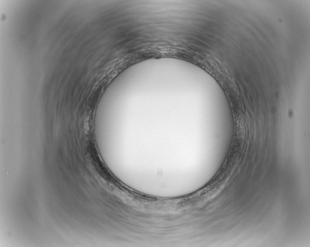 X0000086880032200705141421