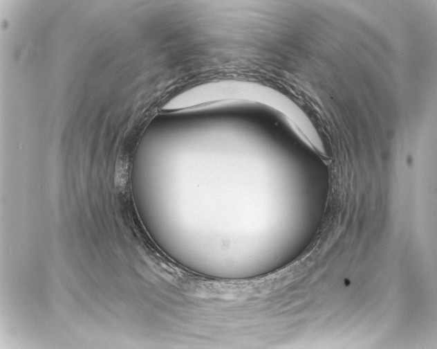 X0000086880033200705141421