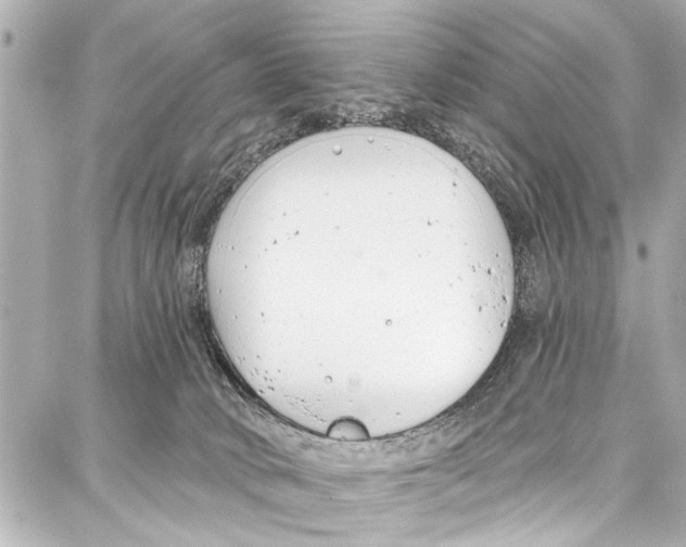 X0000086880034200705141421