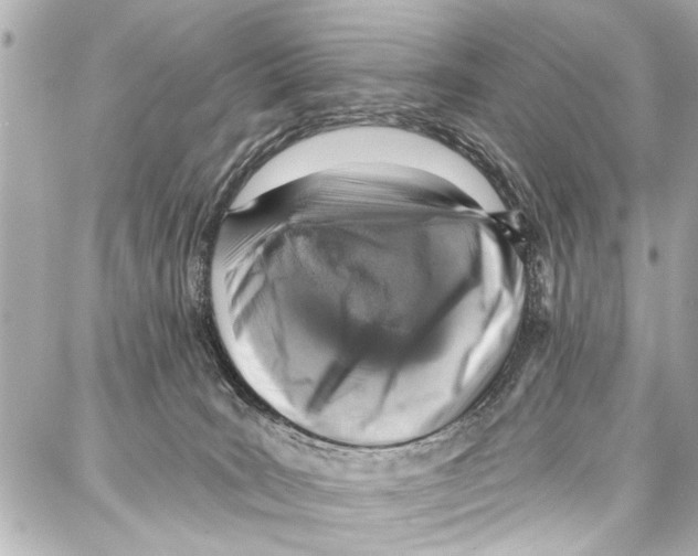 X0000086880035200705141421