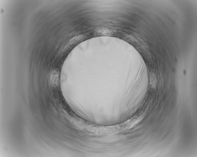 X0000086880036200705141421