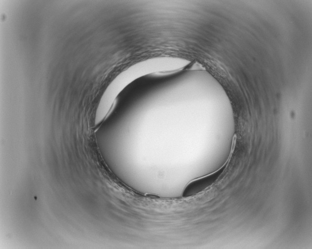 X0000086880037200705141421