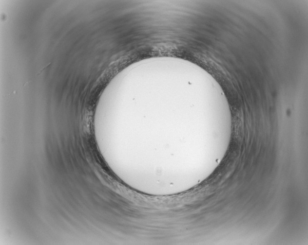 X0000086880038200705141421