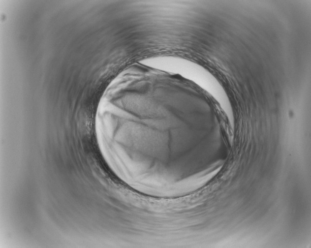 X0000086880039200705141421