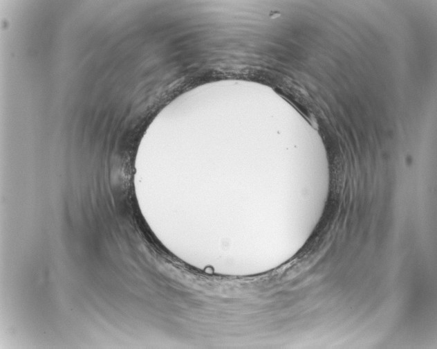 X0000086880040200705141421