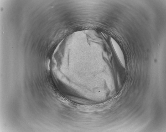 X0000086880041200705141421