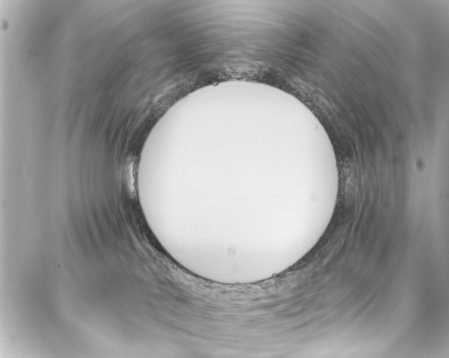 X0000086880042200705141421