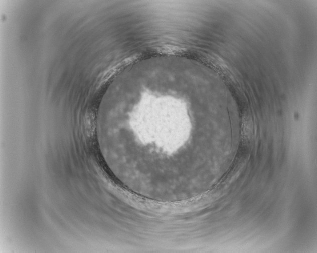 X0000086880043200705141421