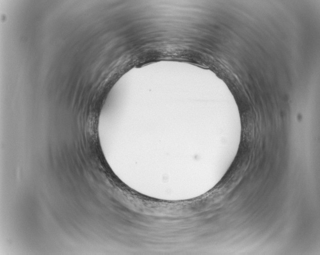 X0000086880044200705141421