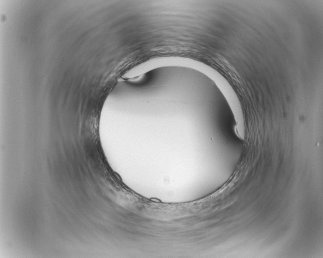 X0000086880045200705141421