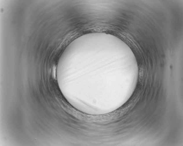 X0000086880046200705141421