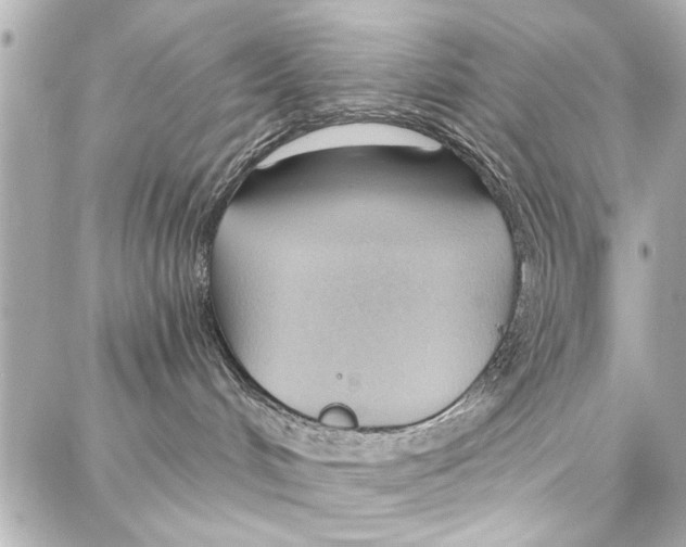 X0000086880048200705141421