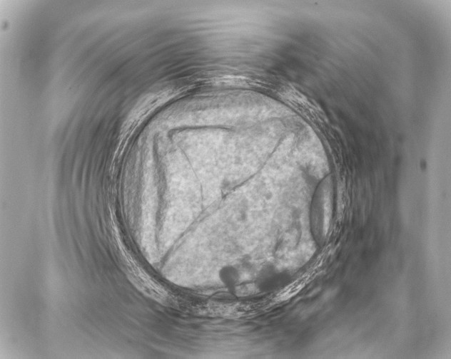 X0000086880049200705141420