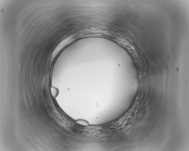 X0000086880051200705141420