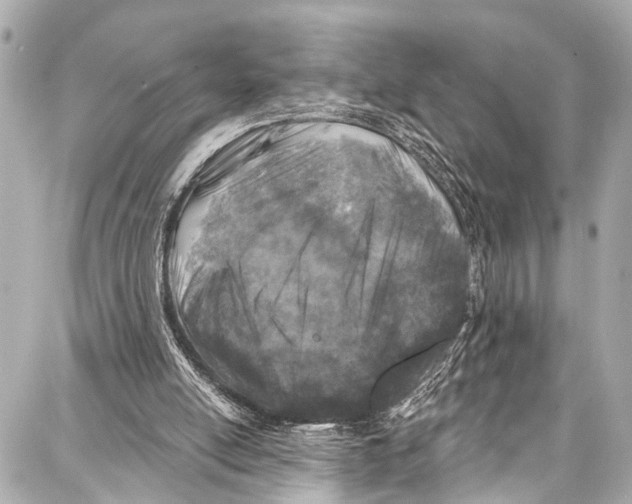 X0000086880054200705141420