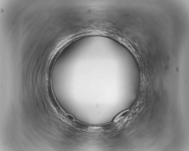 X0000086880055200705141420