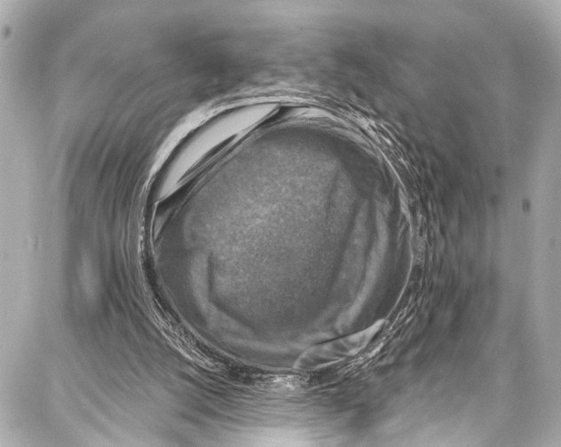 X0000086880056200705141420