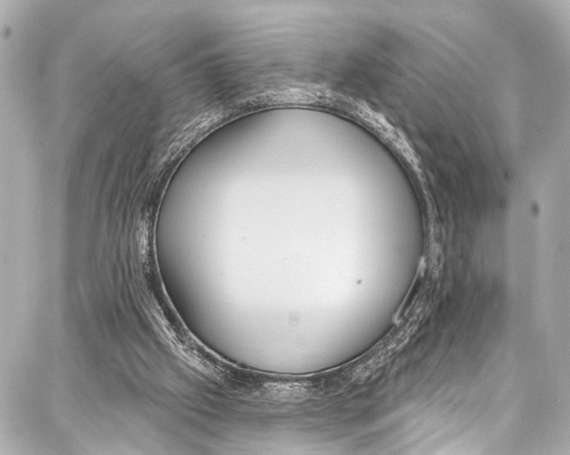 X0000086880057200705141420