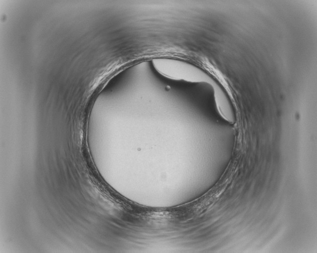 X0000086880059200705141420