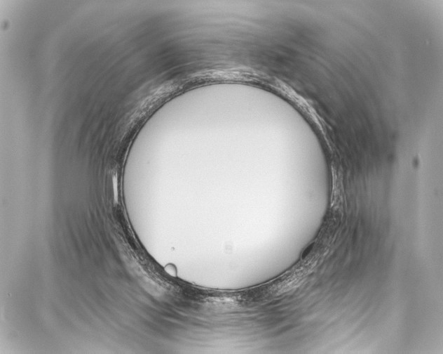 X0000086880061200705141421