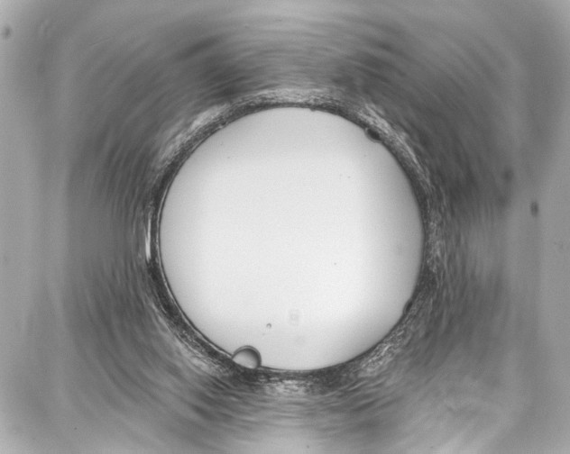 X0000086880062200705141421