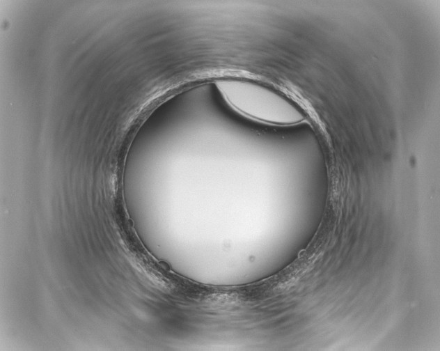 X0000086880063200705141421