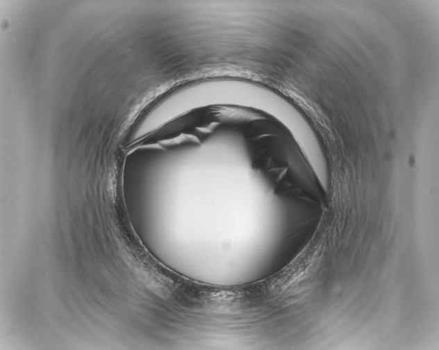 X0000086880064200705141421