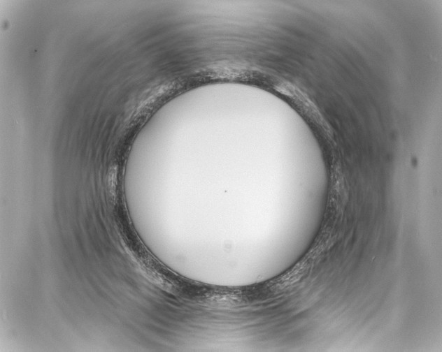 X0000086880066200705141421