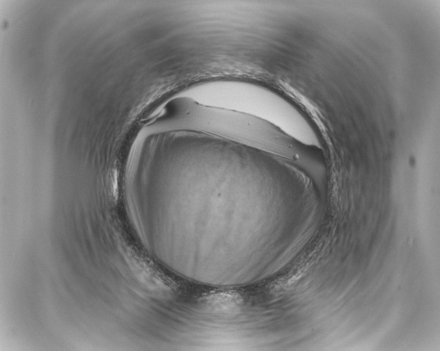 X0000086880067200705141421