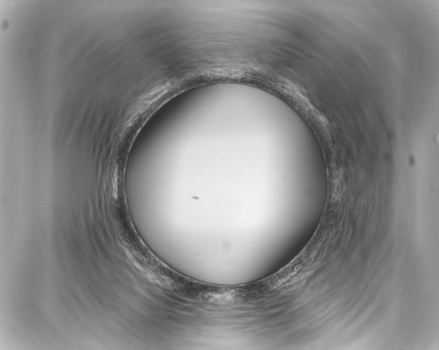 X0000086880068200705141421