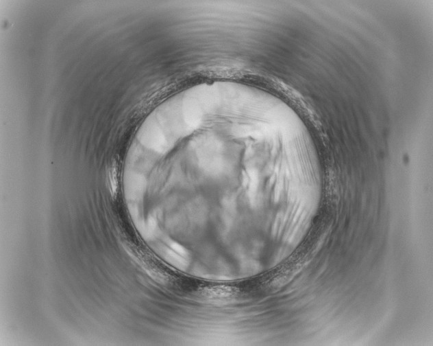 X0000086880069200705141421