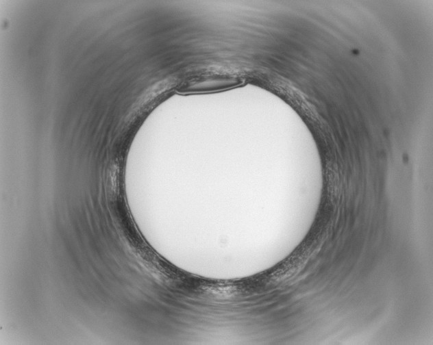 X0000086880071200705141421