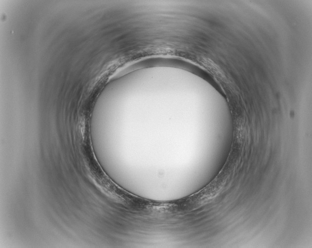 X0000086880072200705141421