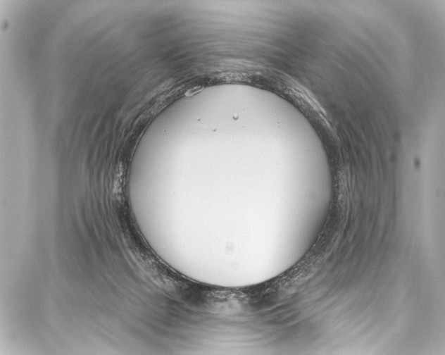 X0000086880073200705141421