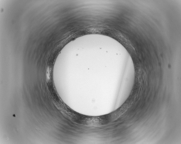 X0000086880075200705141421