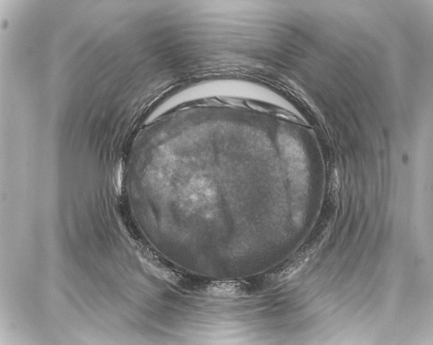 X0000086880076200705141421