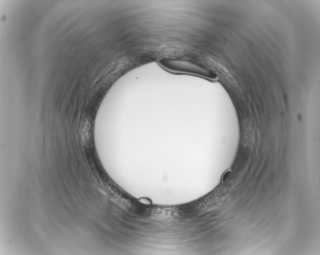 X0000086880077200705141421