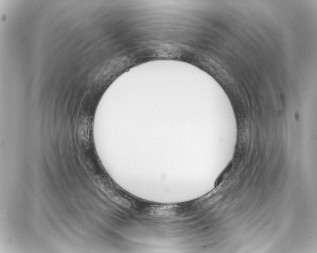 X0000086880078200705141421