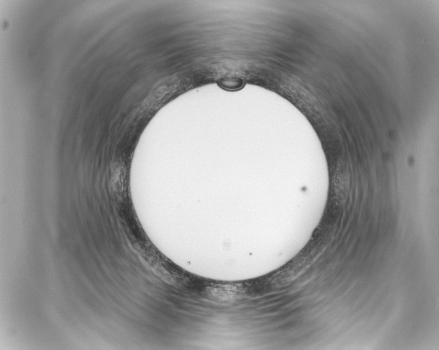 X0000086880079200705141421