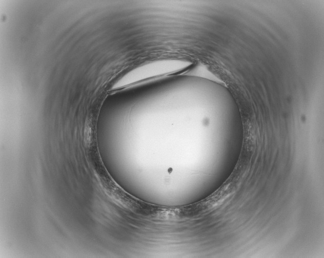 X0000086880080200705141421