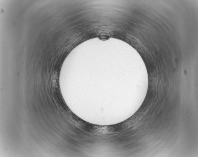 X0000086880083200705141421