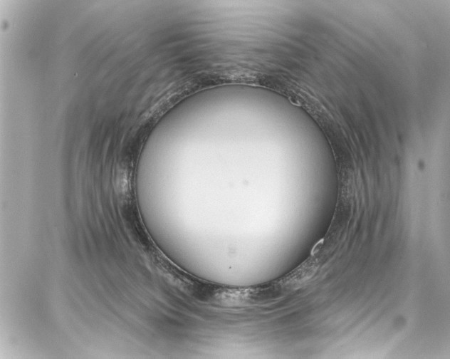 X0000086880084200705141421