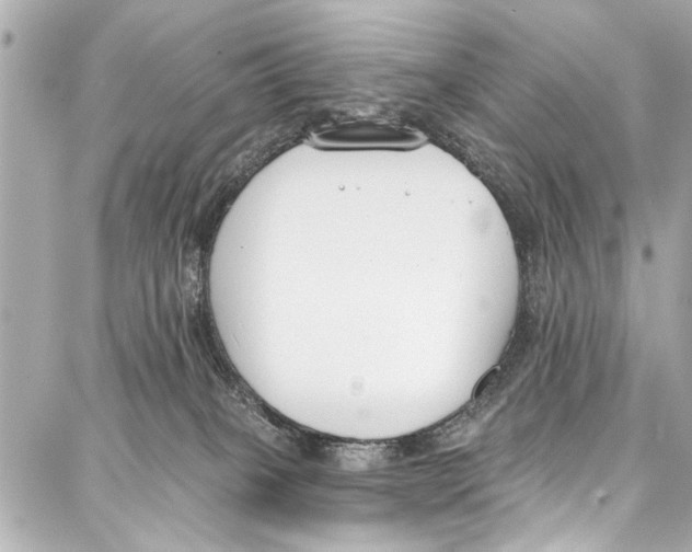 X0000086880085200705141421