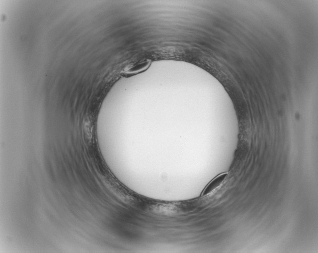 X0000086880086200705141421