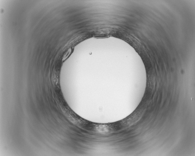 X0000086880091200705141421