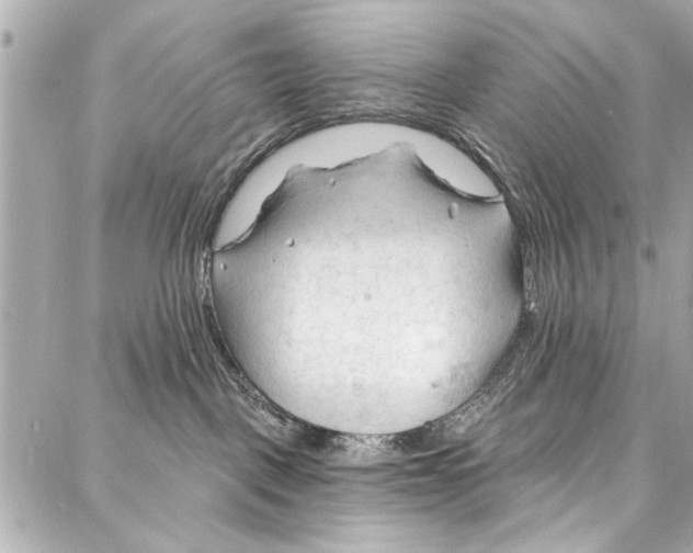 X0000086880093200705141421