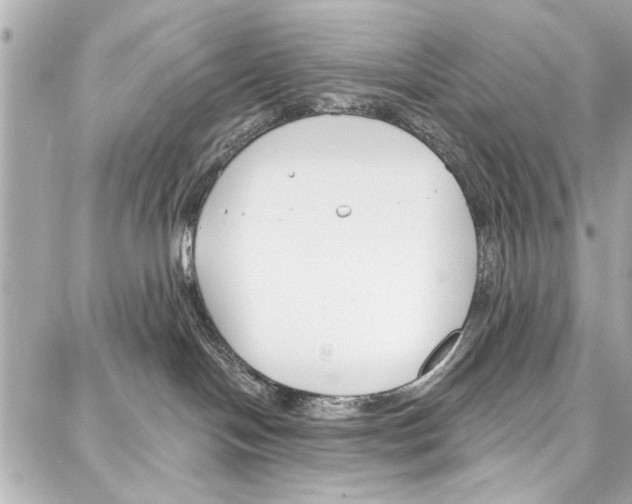 X0000086880094200705141421